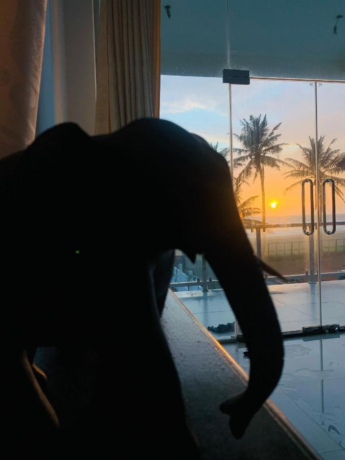 Kavin Beach Hotel ヒッカドゥワ エクステリア 写真