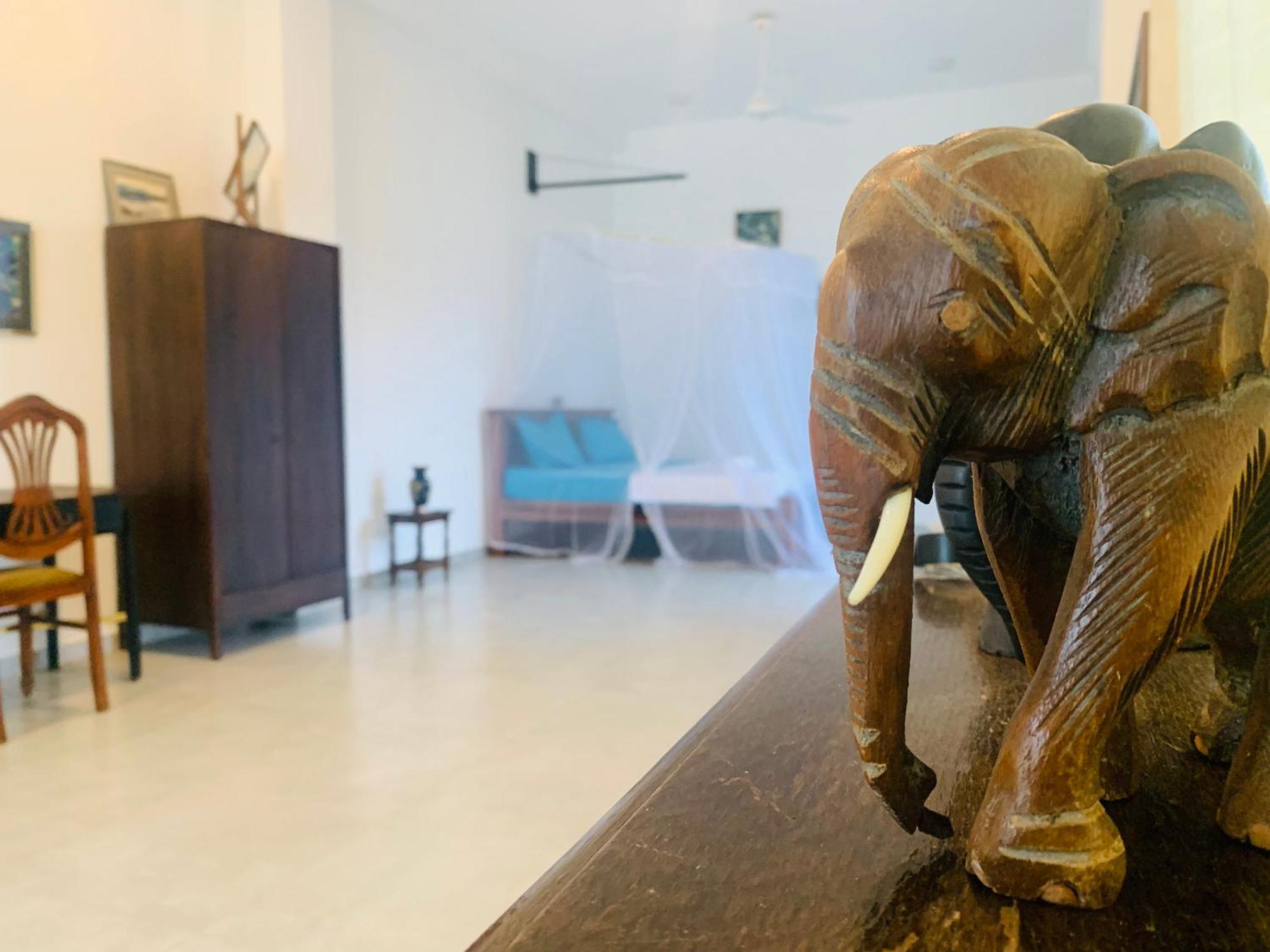 Kavin Beach Hotel ヒッカドゥワ エクステリア 写真